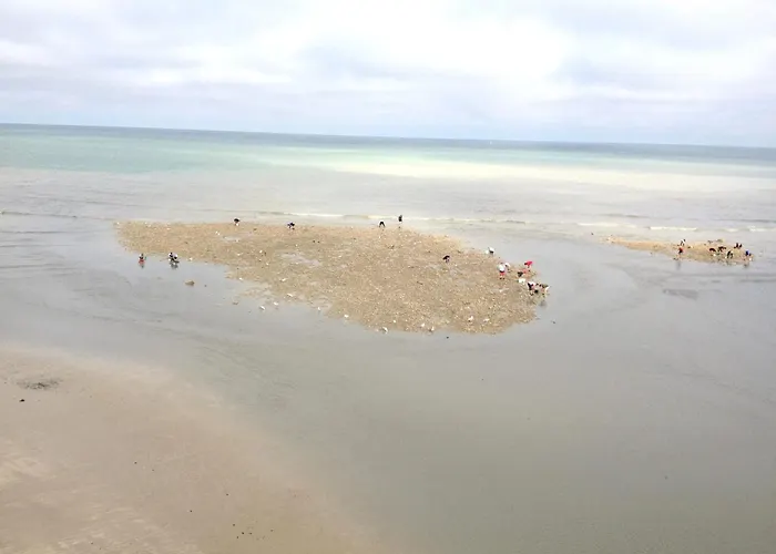 Vakantiehuis Maison Confortable Au Treport, 80 M² Avec Jardin